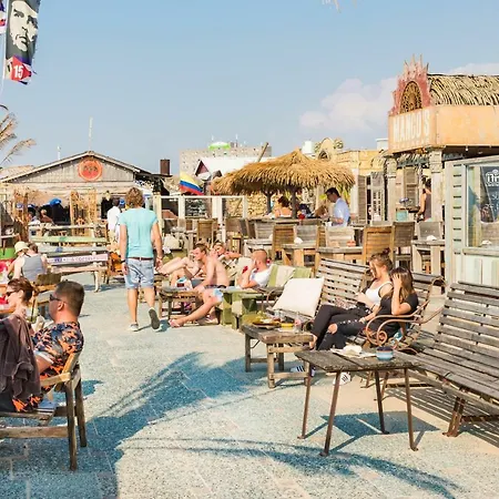 House * Zandvoort